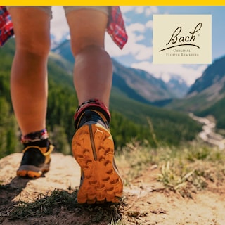 Foto 4 | Avena Silvestre Original De Flower Essence Bach 20 Ml Vegana Sin Gluten - Venta Internacional.