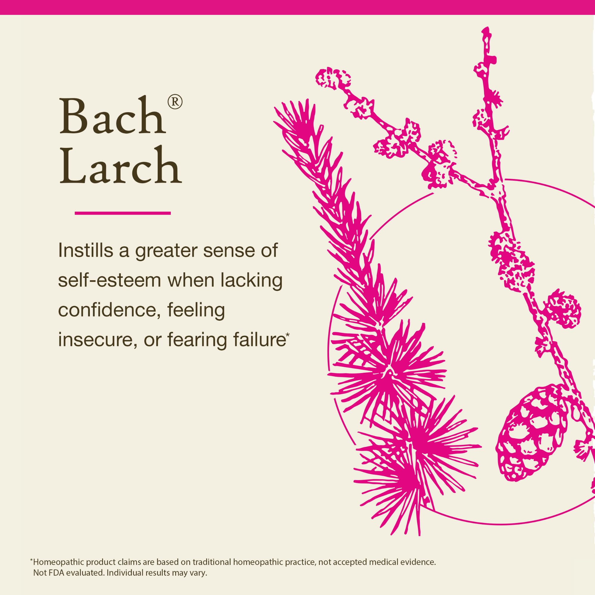 Foto 3 | Flower Essence Bach Original Larch  20 Ml  Vegano  Sin Gluten Y Sin Azúcar - Venta Internacional.