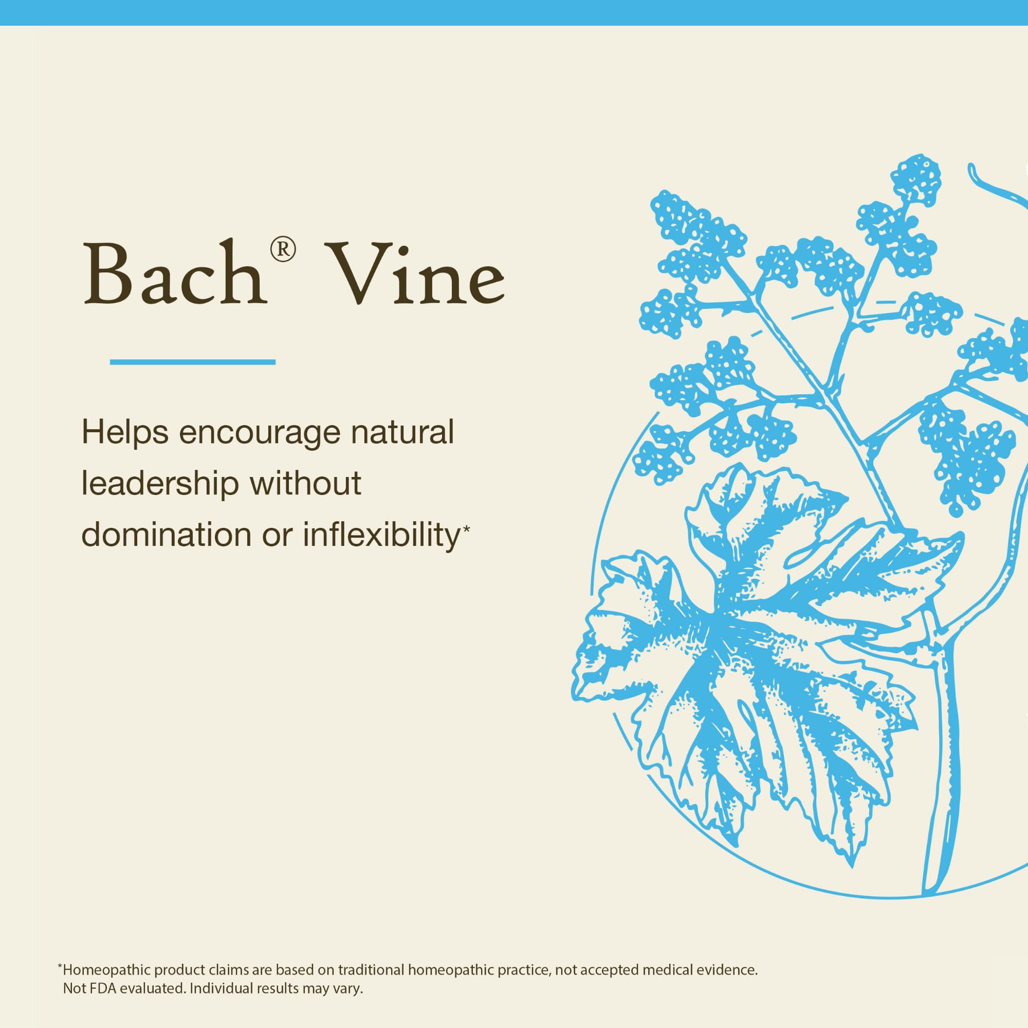 Foto 3 | Flower Essence Bach Original Vine  20 Ml  Vegano  Sin Gluten Y Sin Azúcar - Venta Internacional.