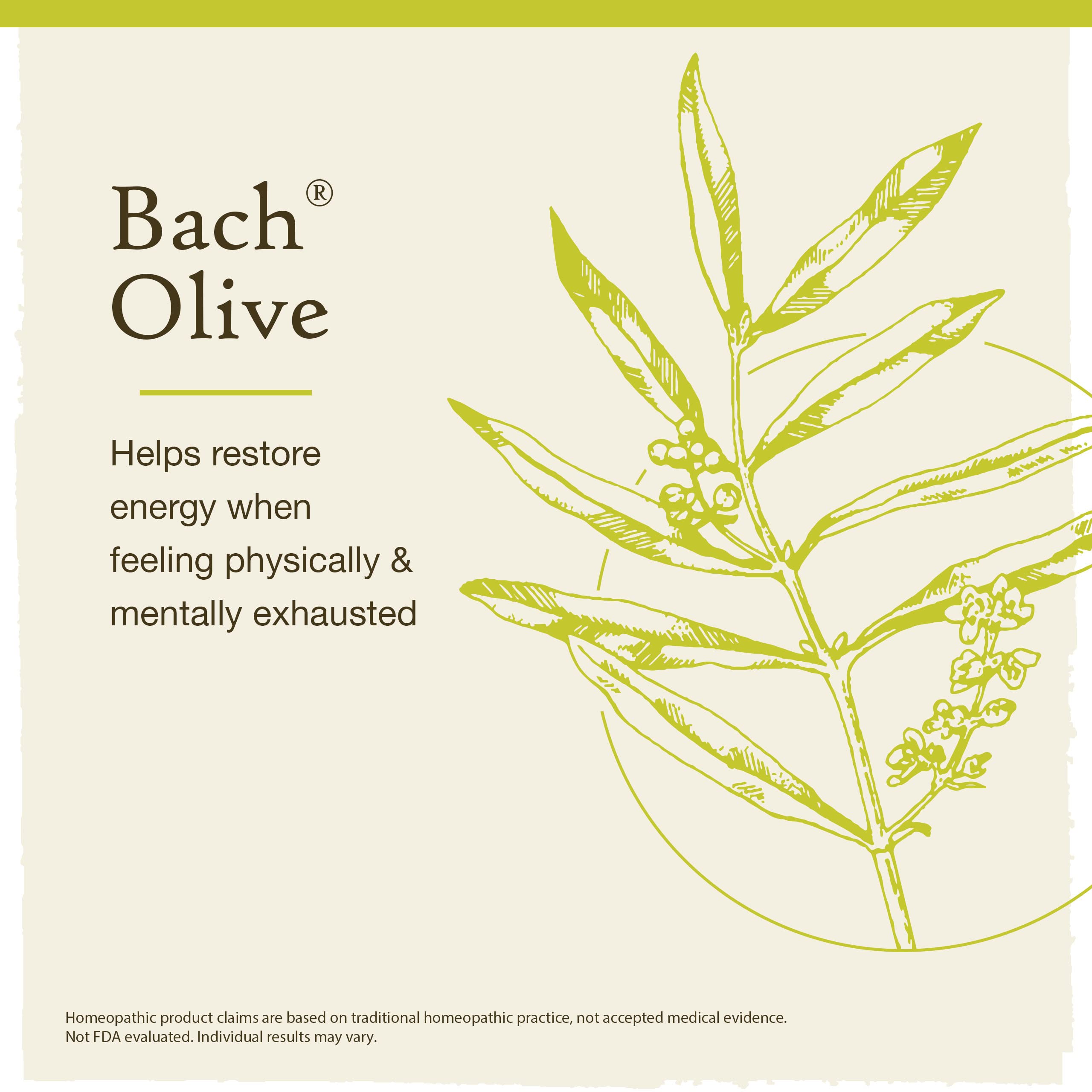 Foto 4 pulgar | Flower Essence Bach Original Olive  20 Ml  Vegano  Sin Gluten Y Sin Azúcar - Venta Internacional.