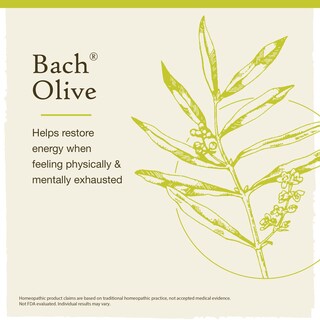 Foto 3 | Flower Essence Bach Original Olive 20 Ml Vegano Sin Gluten Y Sin Azúcar - Venta Internacional.