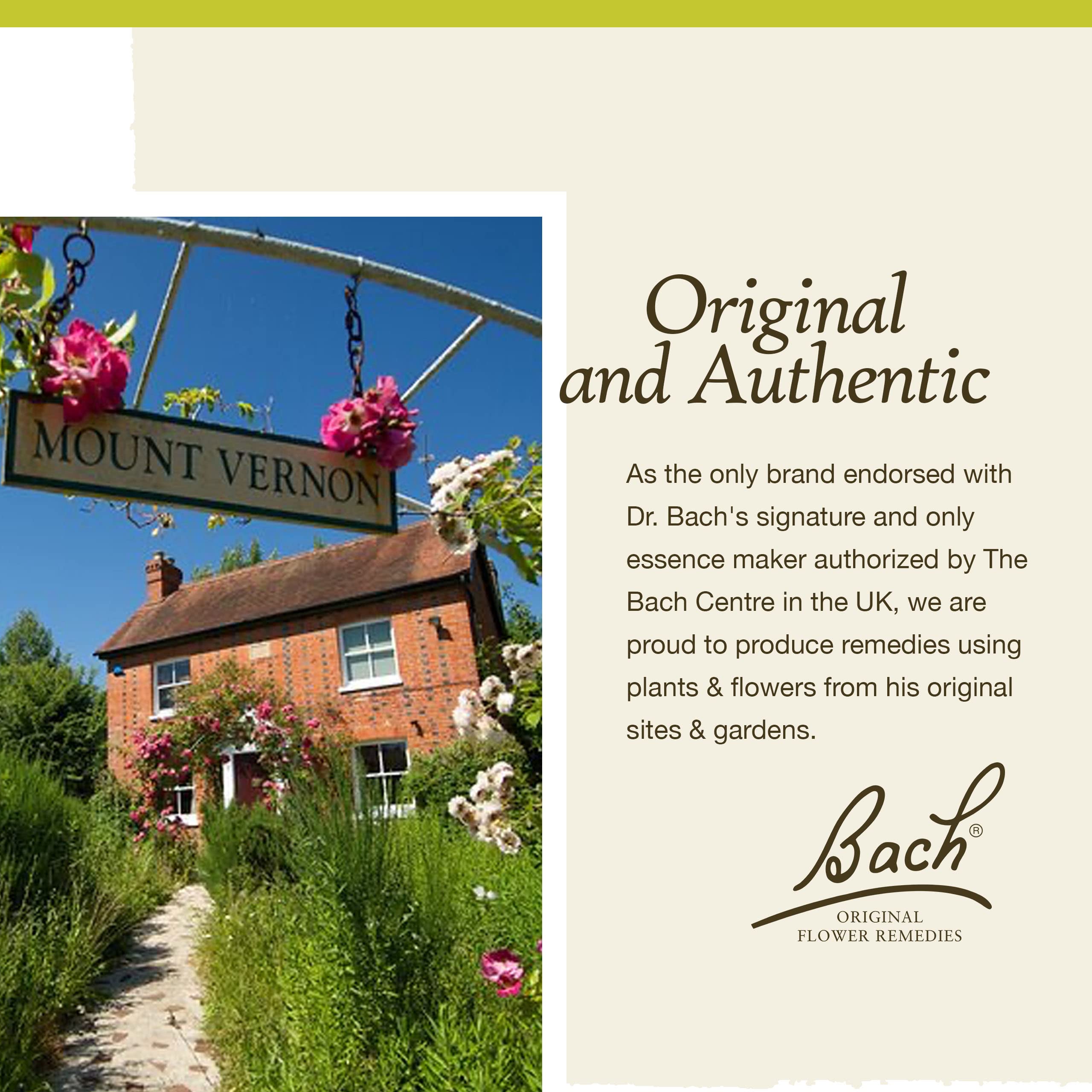 Foto 8 pulgar | Flower Essence Bach Original Olive  20 Ml  Vegano  Sin Gluten Y Sin Azúcar - Venta Internacional.