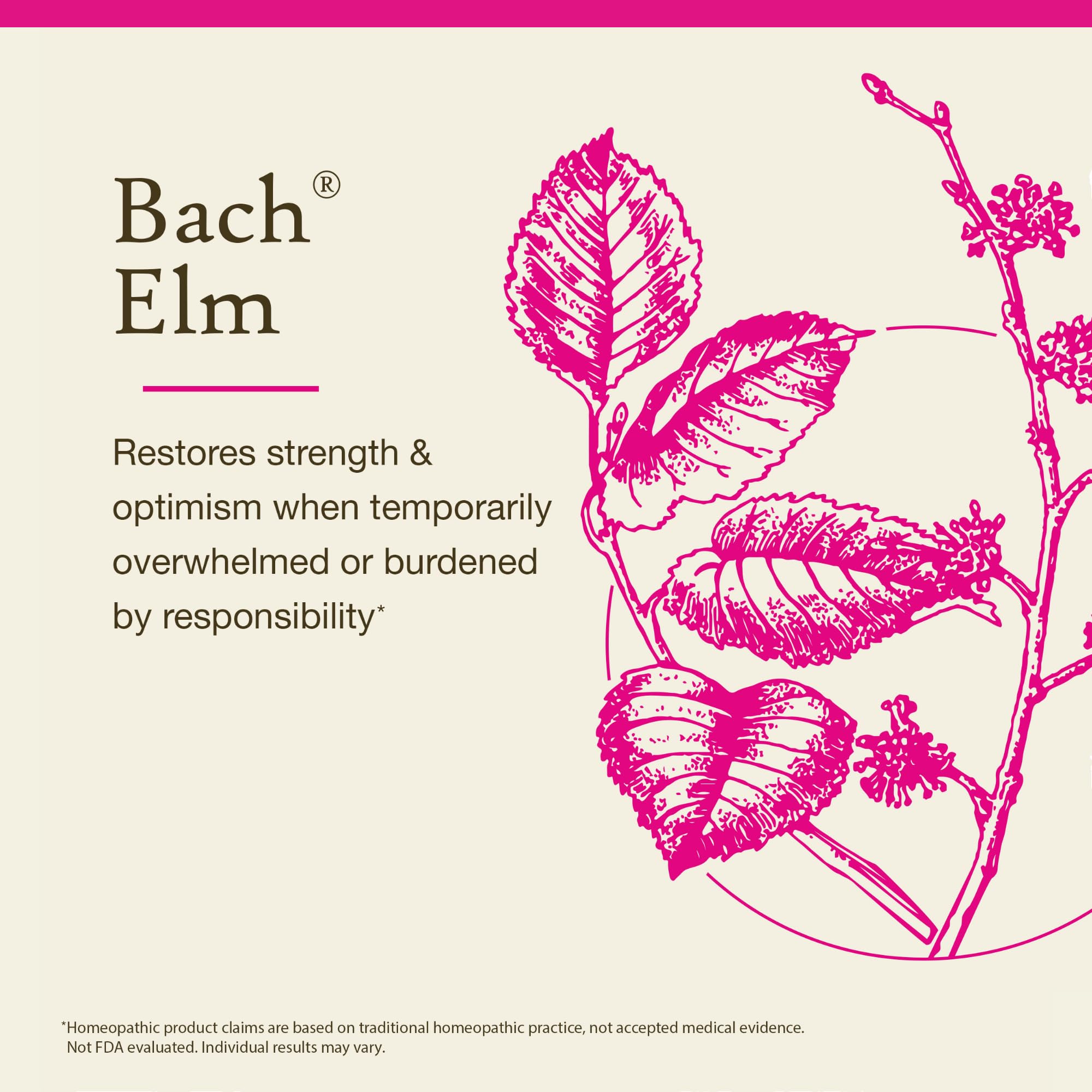 Foto 4 pulgar | Fórmula Sin Alcohol Flower Essence Bach Original Elm De 10 Ml - Venta Internacional.