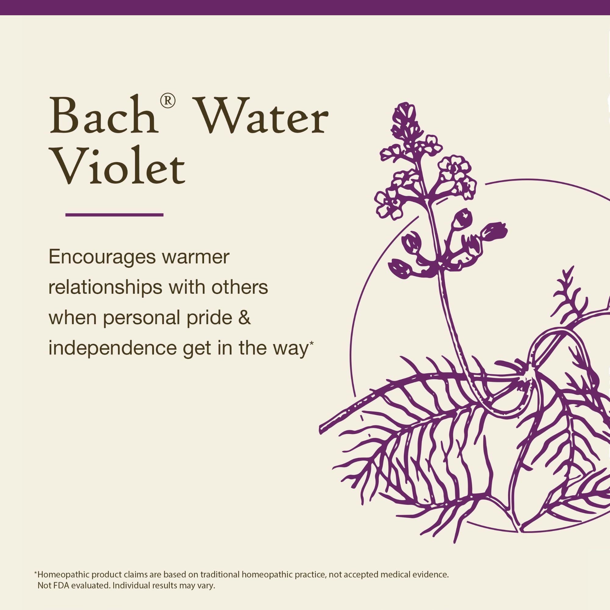 Foto 4 pulgar | Esencia Floral Bach Original  Agua Violeta  20 Ml  Vegana - Venta Internacional.