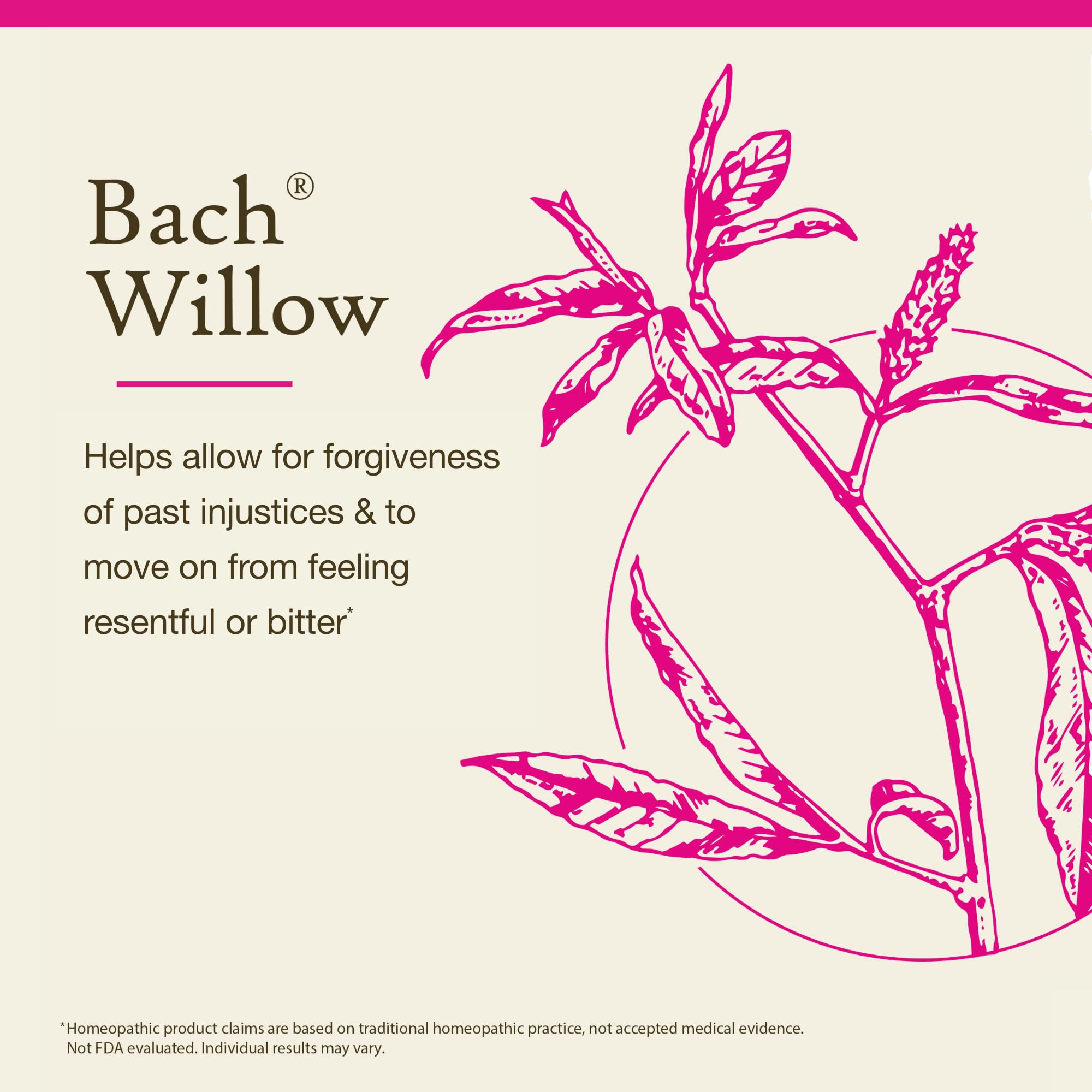 Foto 4 pulgar | Fórmula Sin Alcohol De Flower Essence Bach Original Willow De 10 Ml - Venta Internacional.