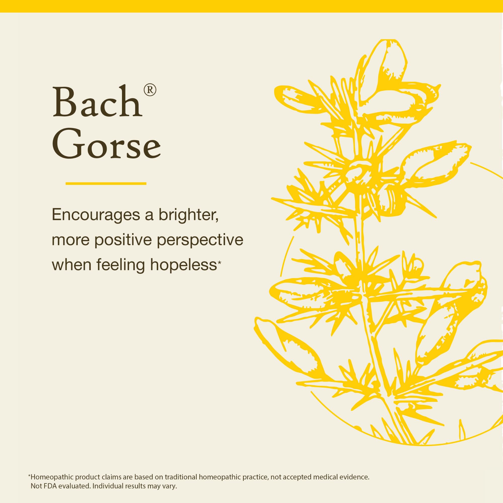 Foto 3 | Flower Essence Bach Original Gorse  20 Ml  Vegano  Sin Gluten Y Sin Azúcar - Venta Internacional.