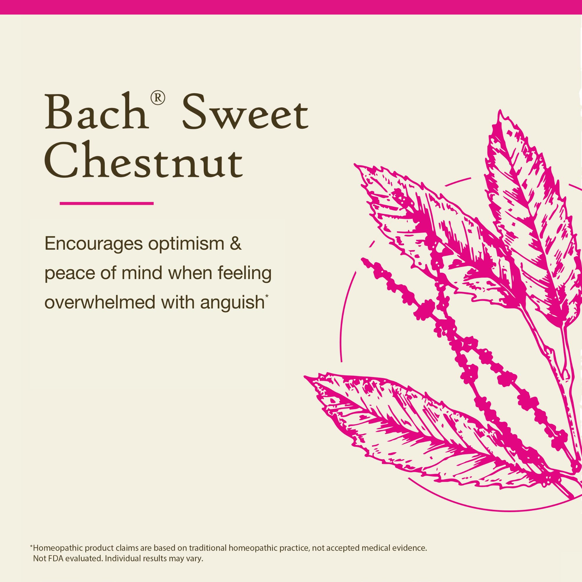 Foto 3 | Gotero Flower Essence Bach Original Para Castañas Dulces (20 Ml) - Venta Internacional.