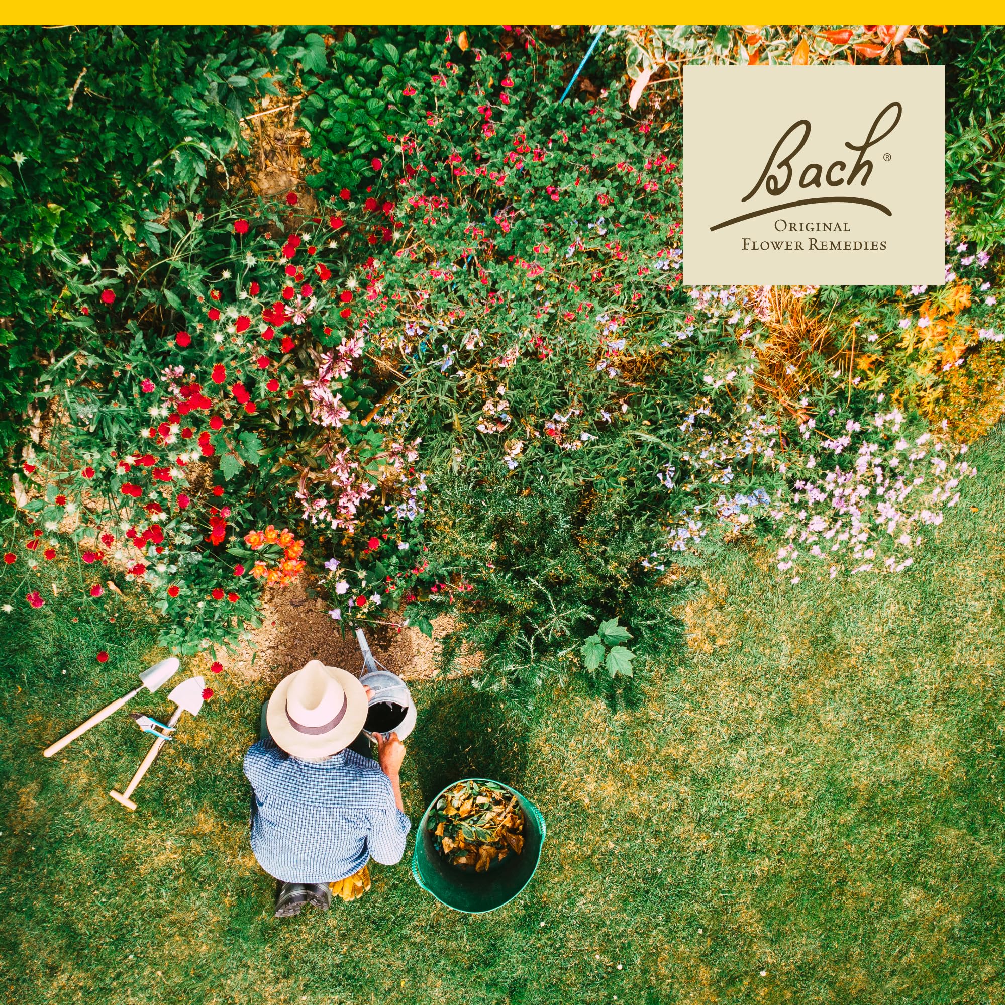 Foto 5 pulgar | Flower Essence Bach Original Hornbeam  20 Ml  Vegano  Sin Gluten - Venta Internacional.