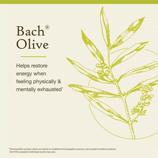 Foto 3 | Flower Essence Bach Original Olive 20 Ml Vegano Sin Gluten Y Sin Azúcar - Venta Internacional.
