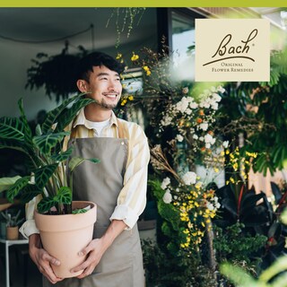 Foto 4 | Flower Essence Bach Original Olive 20 Ml Vegano Sin Gluten Y Sin Azúcar - Venta Internacional.
