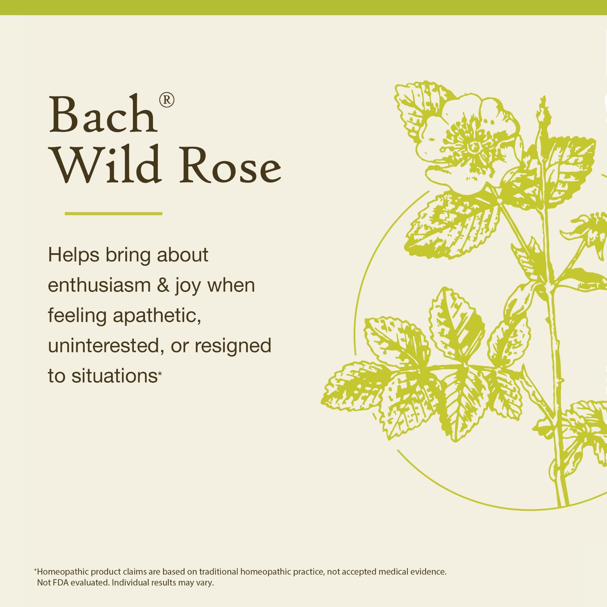 Foto 4 pulgar | Esencia Floral Bach Original Wild Rose  20 Ml  Vegana  Sin Gluten - Venta Internacional.
