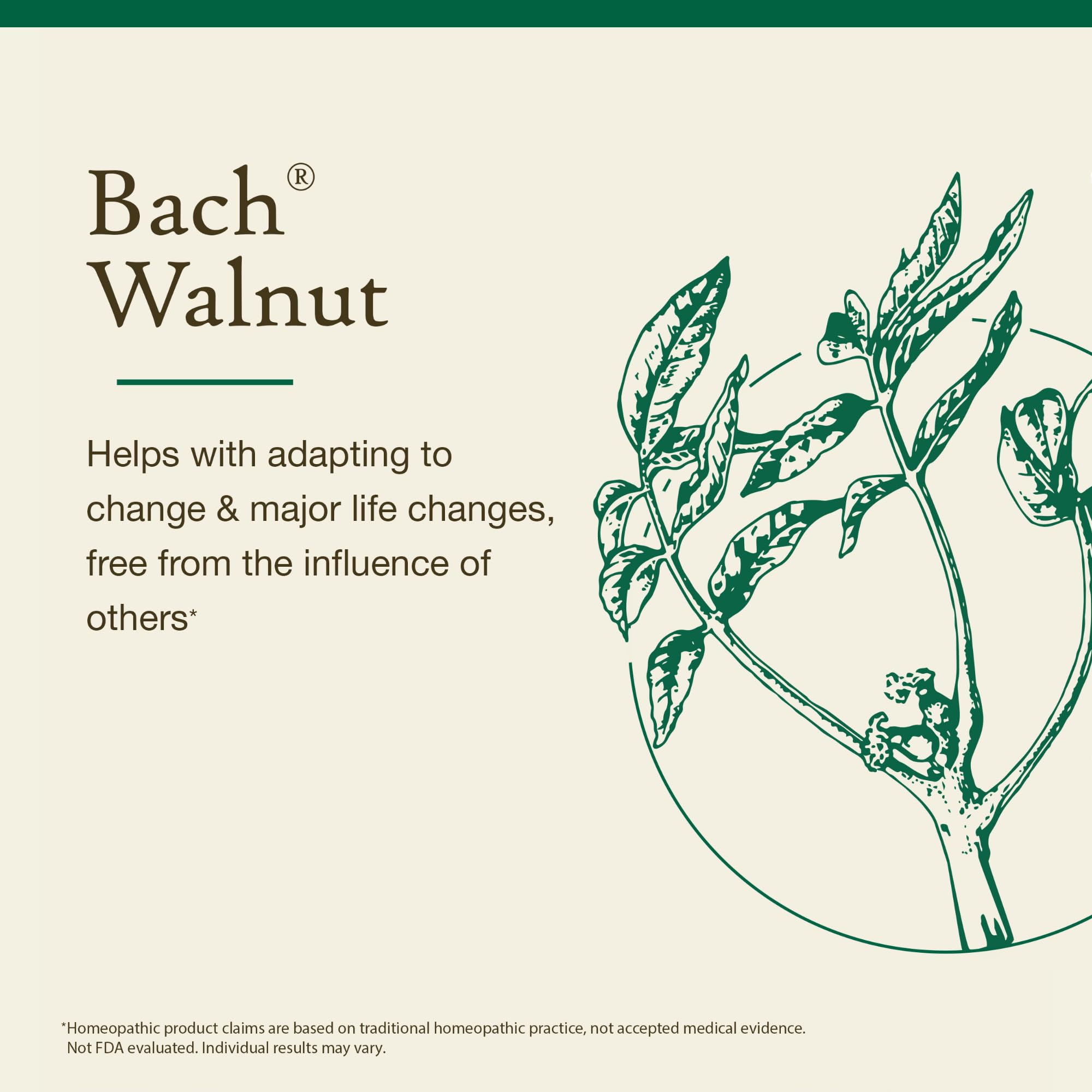 Foto 4 pulgar | Esencia Floral De Bach  Remedios Florales De Nuez  20 Ml  Vegano - Venta Internacional.