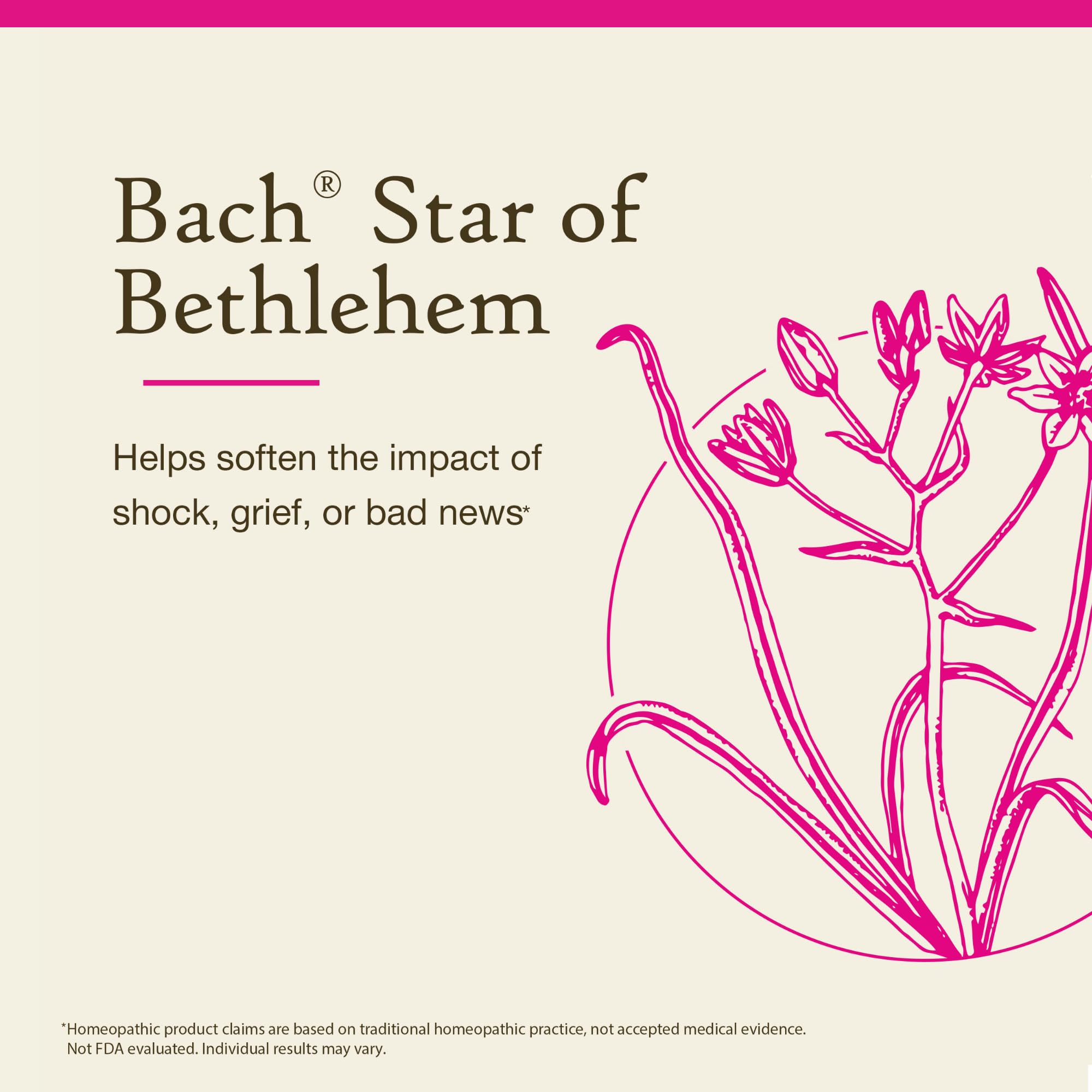 Foto 3 | Esencia Floral Bach Original Star Of Bethlehem  20 Ml - Venta Internacional.