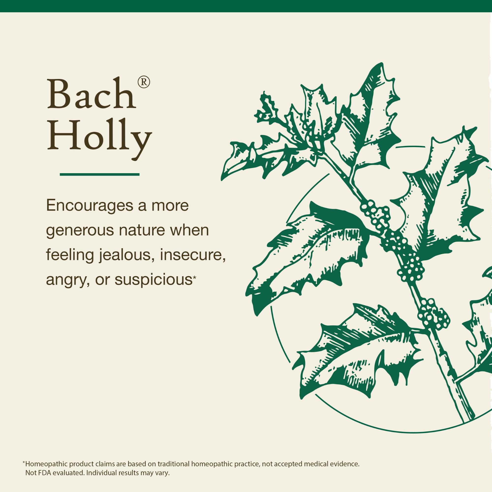 Foto 4 pulgar | Flower Essence Bach Original Holly  20 Ml  Vegano  Sin Gluten Y Sin Azúcar - Venta Internacional.