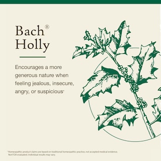 Foto 3 | Flower Essence Bach Original Holly 20 Ml Vegano Sin Gluten Y Sin Azúcar - Venta Internacional.