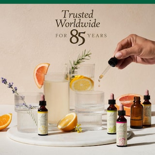 Foto 6 | Flower Essence Bach Original Holly 20 Ml Vegano Sin Gluten Y Sin Azúcar - Venta Internacional.