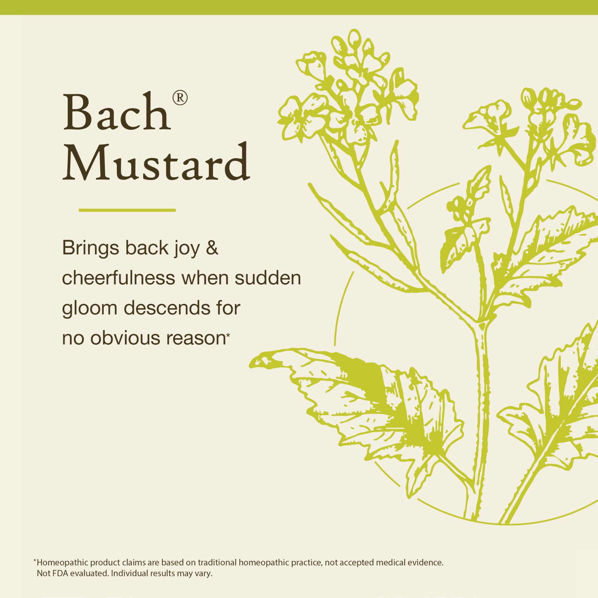 Foto 4 pulgar | Mostaza Original De Flower Essence Bach  10 Ml  Sin Alcohol - Venta Internacional.
