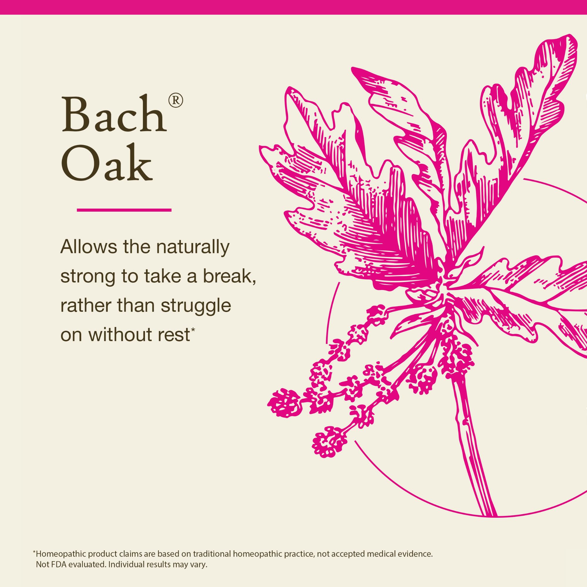 Foto 4 pulgar | Flower Essence Bach Original Flower Remedies De Roble  20 Ml - Venta Internacional.