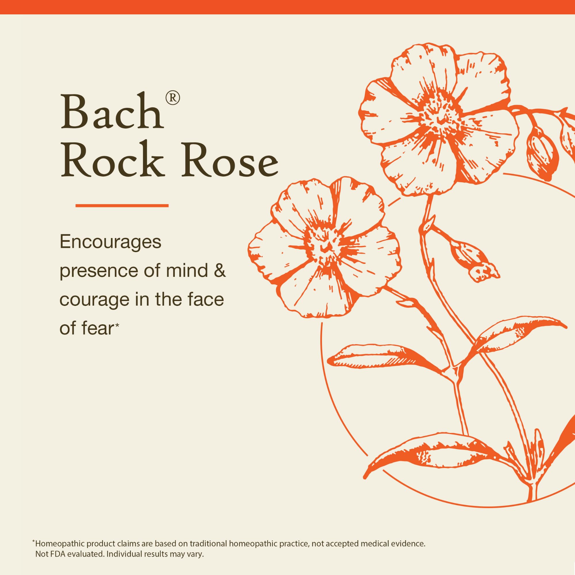 Foto 3 | Esencia Floral Bach Original Rock Rose  10 Ml  Sin Alcohol - Venta Internacional.