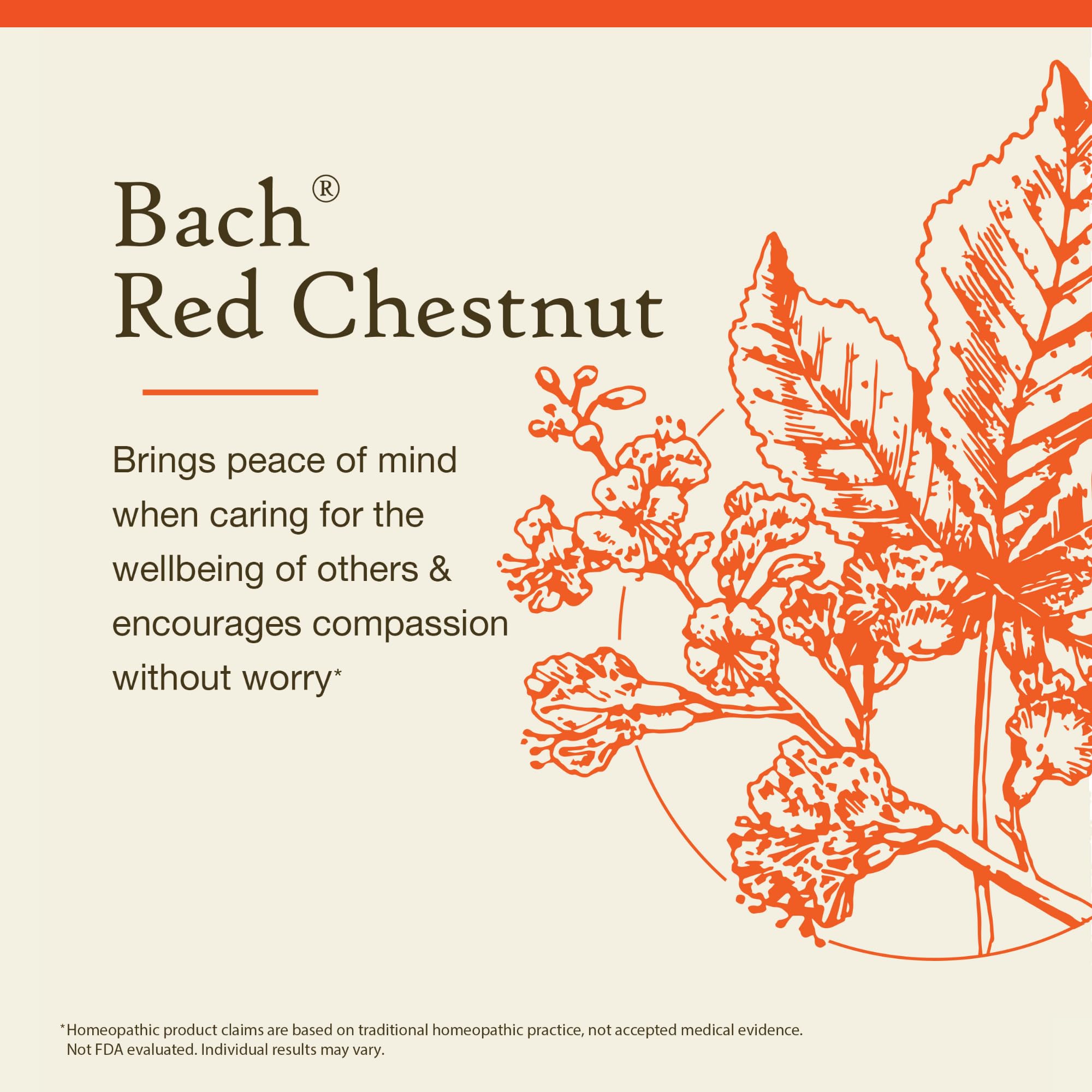 Foto 3 | Flower Essence Bach Original Red Chestnut  10 Ml  Sin Alcohol - Venta Internacional.