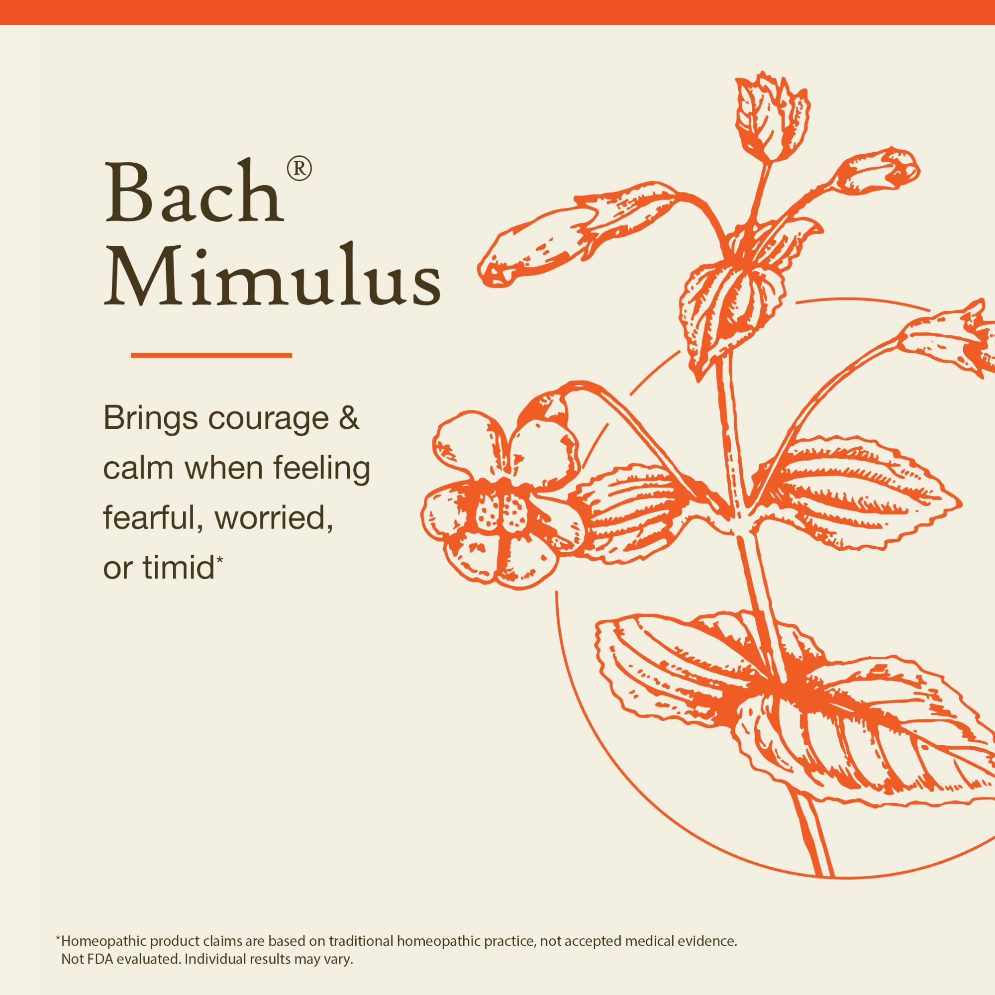 Foto 3 | Esencia Floral Bach Original Mimulus  20 Ml  Vegana  Sin Gluten - Venta Internacional.
