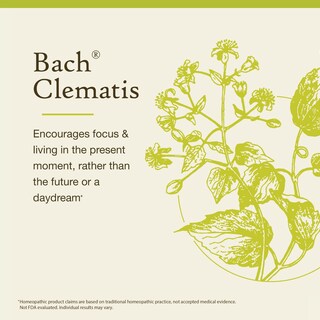 Foto 3 | Esencia Floral Original De Bach Remedios Florales Para Clemátides 20 Ml - Venta Internacional.