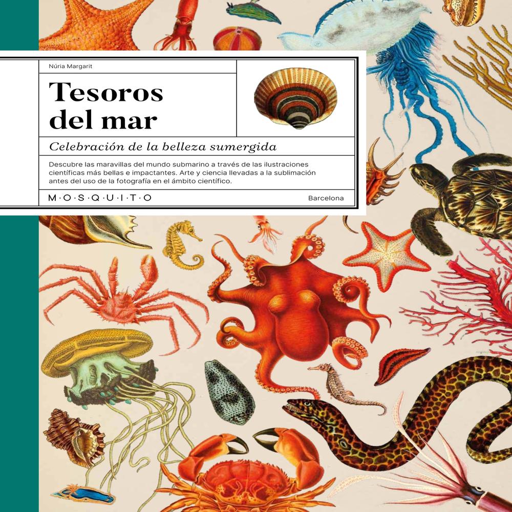 Tesoros Del Mar. Celebración De La Belleza Sumergida
