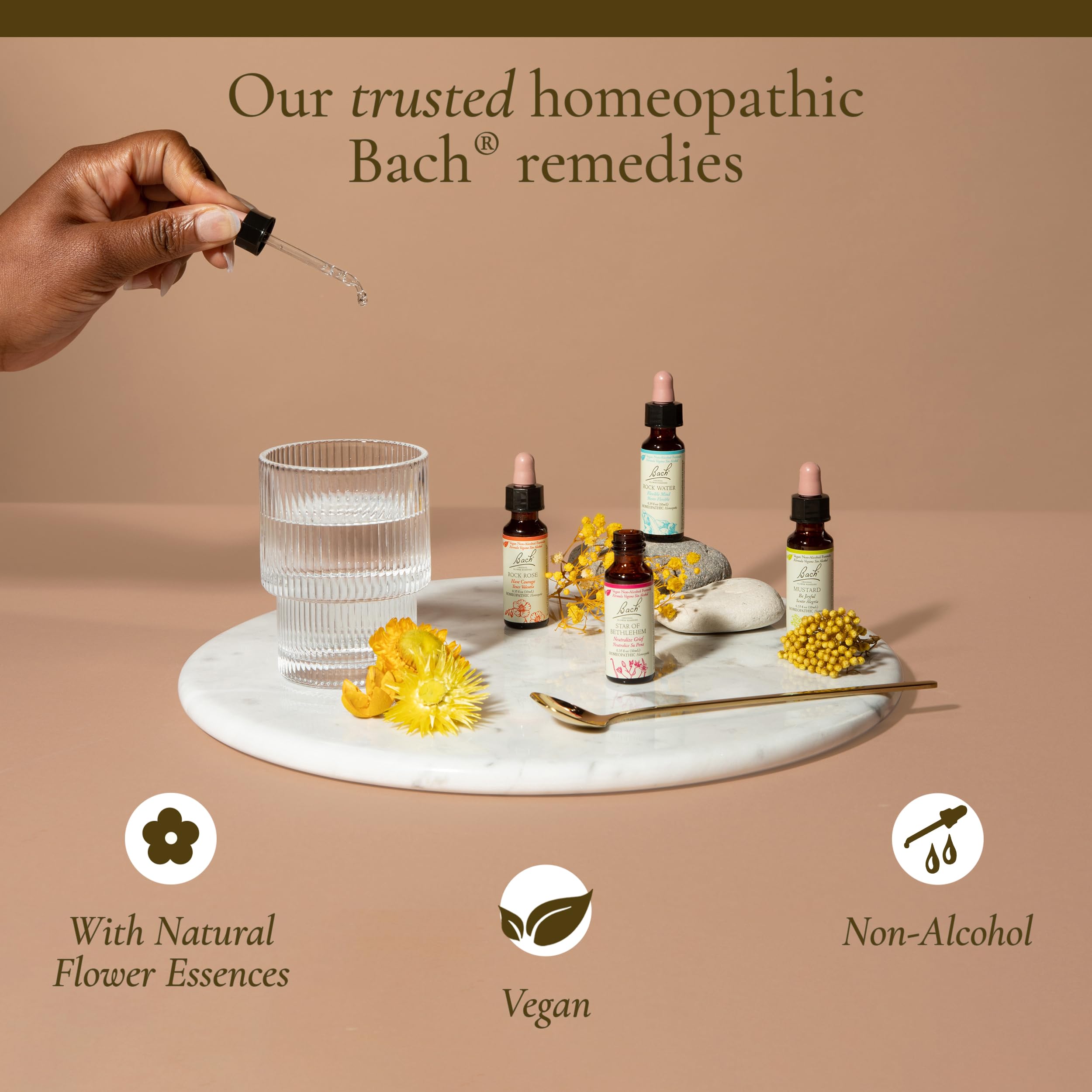 Foto 7 pulgar | Set De Remedios Florales Bach Original 38 + 2 Goteros Rescue De 10 Ml - Venta Internacional.