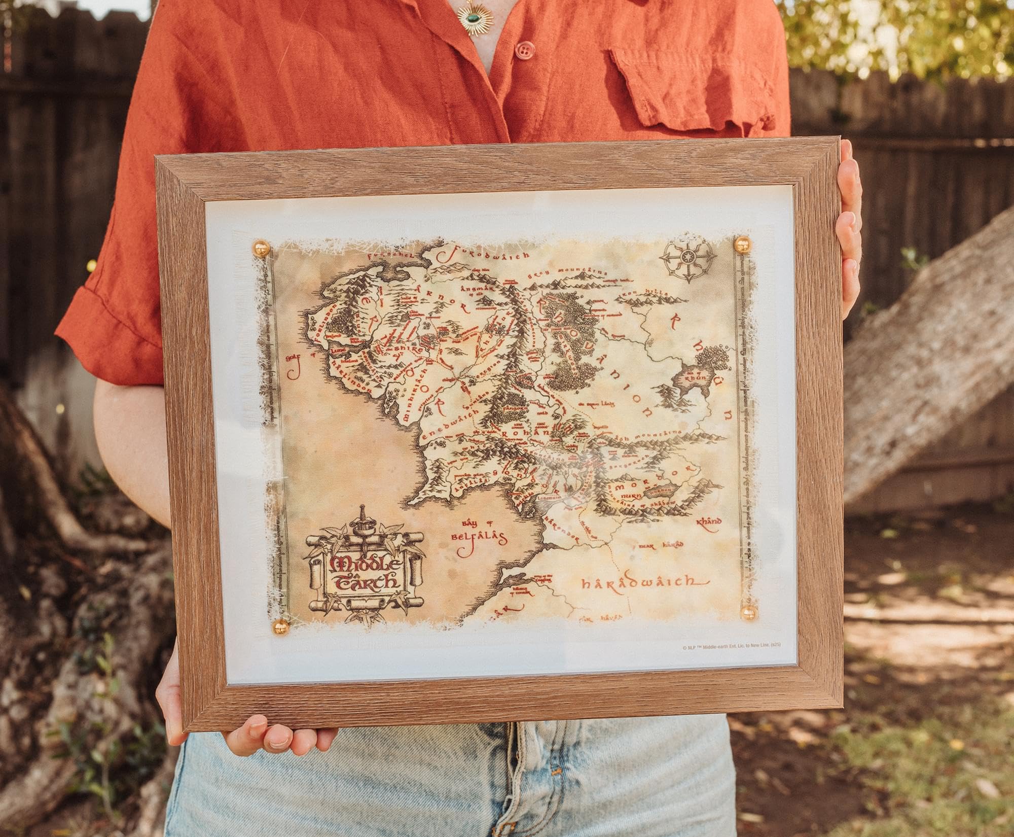 Foto 4 pulgar | Lienzo Decorativo El Señor De Los Anillos  Mapa De La Tierra Media  35 X 30 Cm - Venta Internacional.