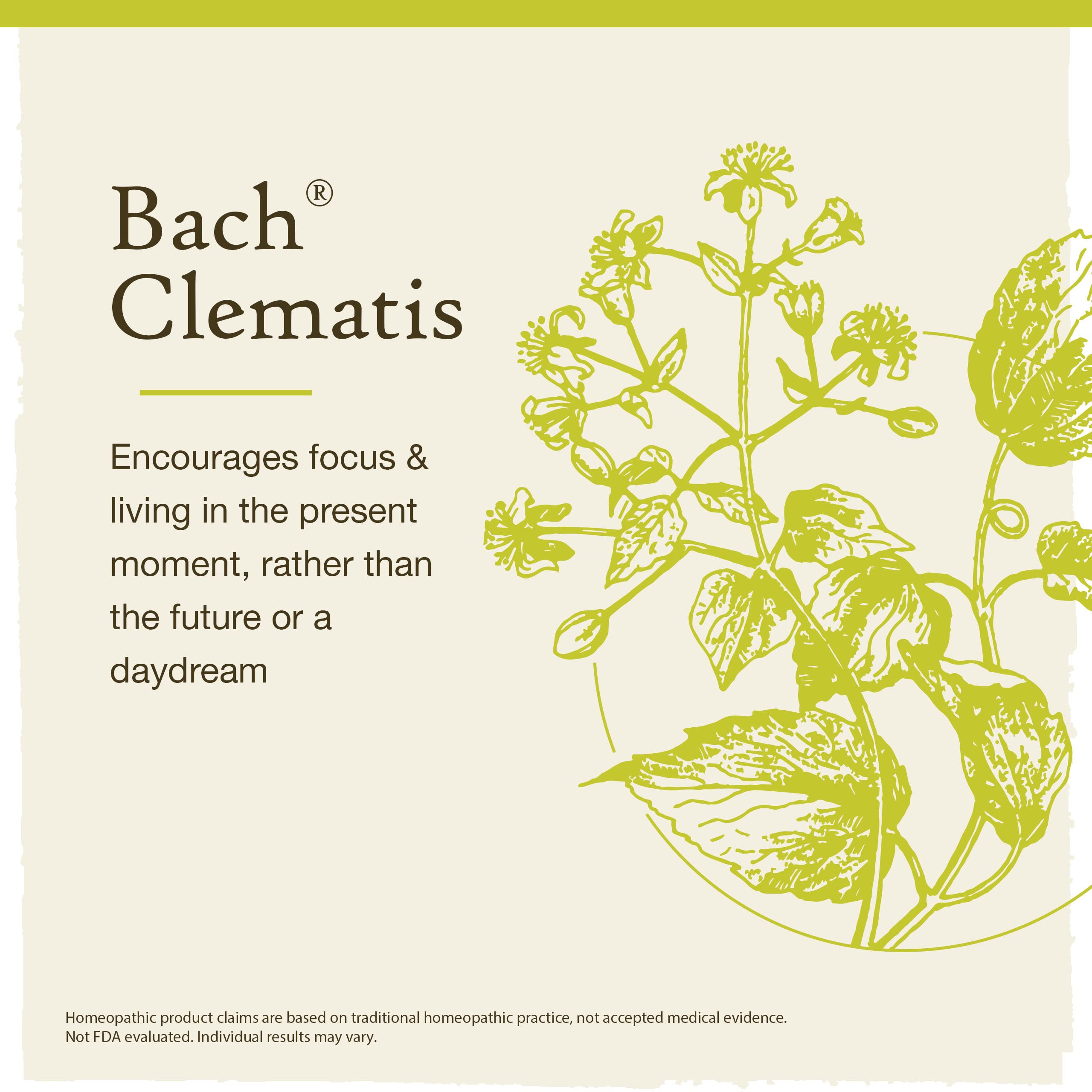 Foto 4 pulgar | Esencia Floral Original De Bach  Remedios Florales Para Clemátides  20 Ml - Venta Internacional.