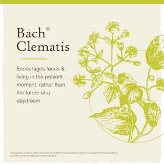 Foto 3 | Esencia Floral Original De Bach Remedios Florales Para Clemátides 20 Ml - Venta Internacional.