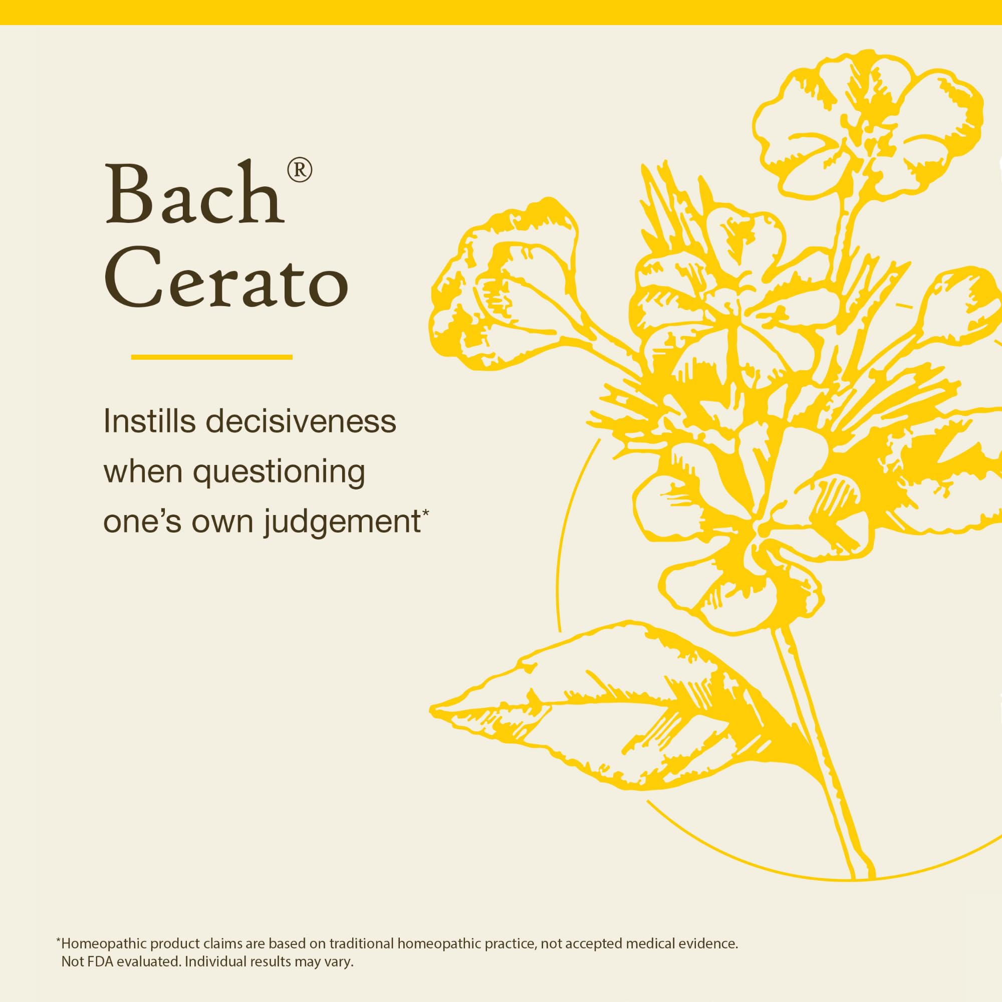 Foto 3 | Esencia De Flores Bach Original Cerato  20 Ml  Vegano  Sin Gluten - Venta Internacional.