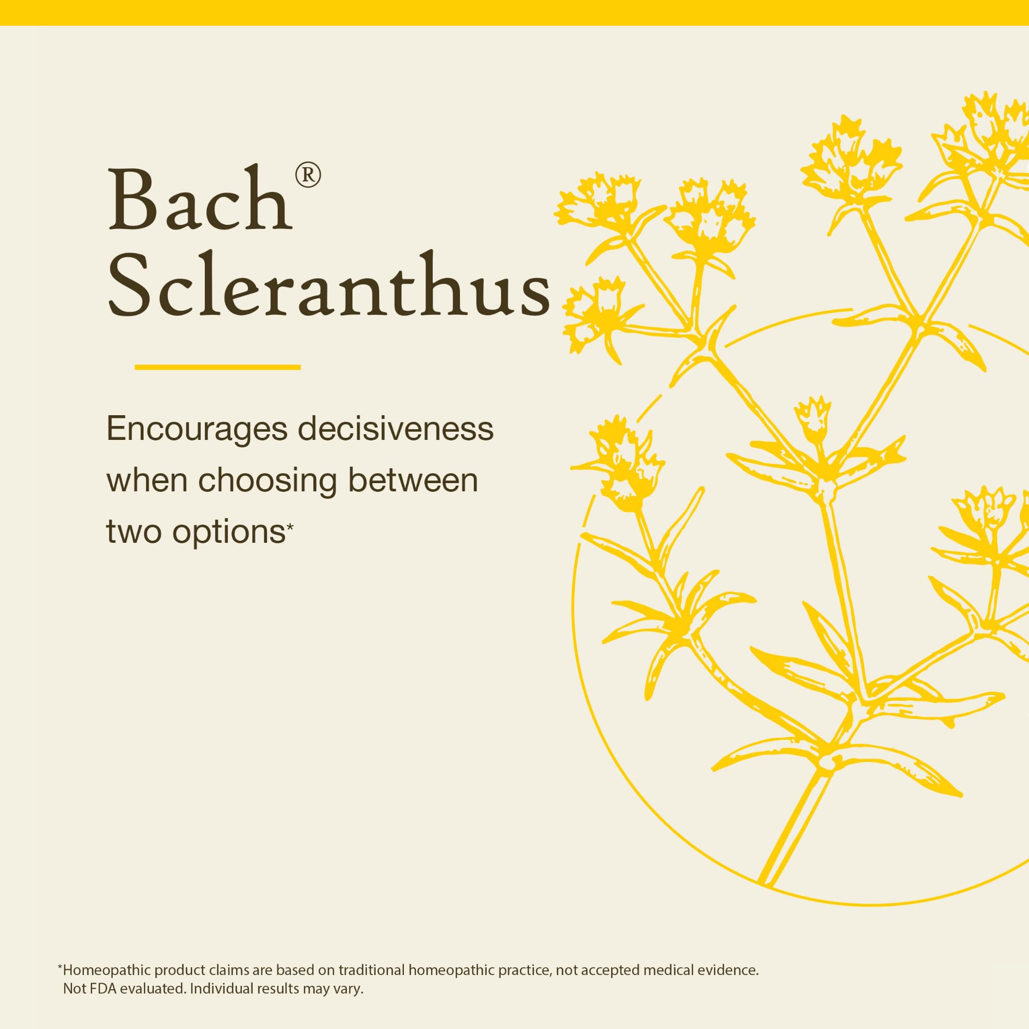Foto 4 pulgar | Esencia Floral Bach Original Scleranthus  20 Ml  Vegana - Venta Internacional.