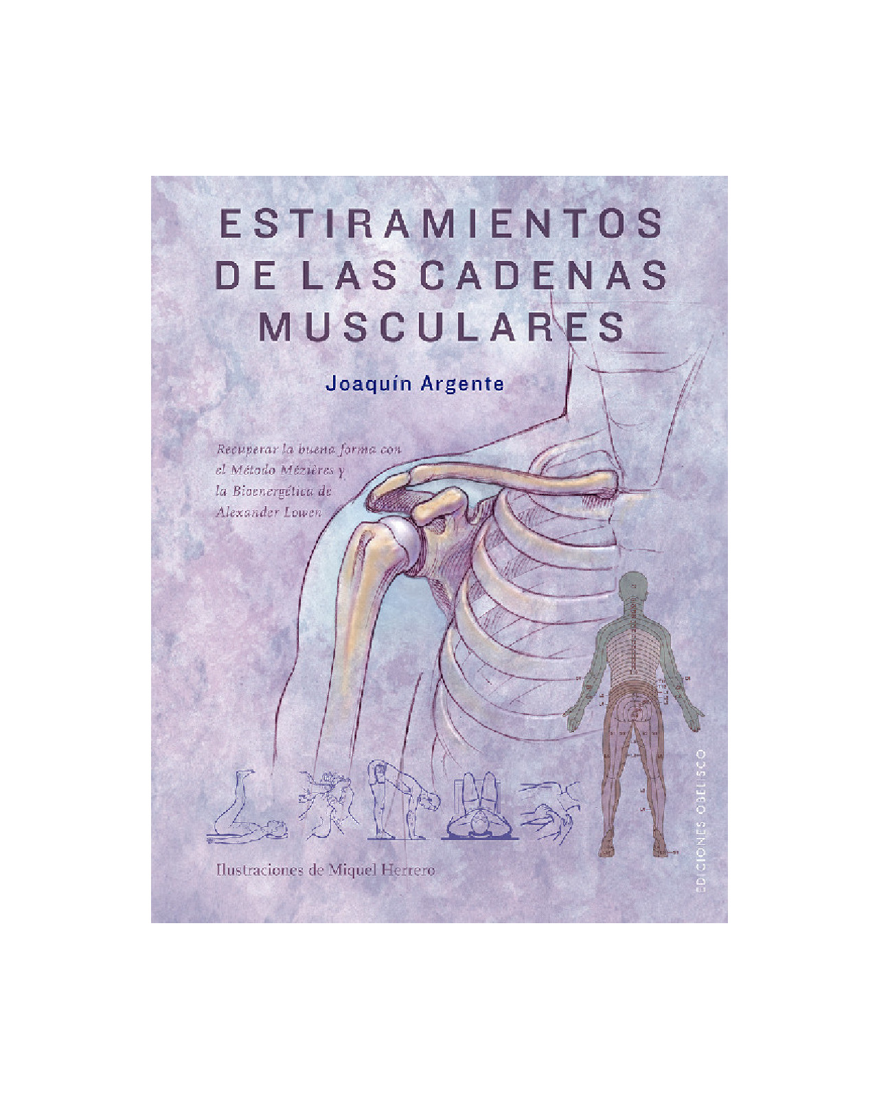 Estiramientos De Las Cadenas Musculares
