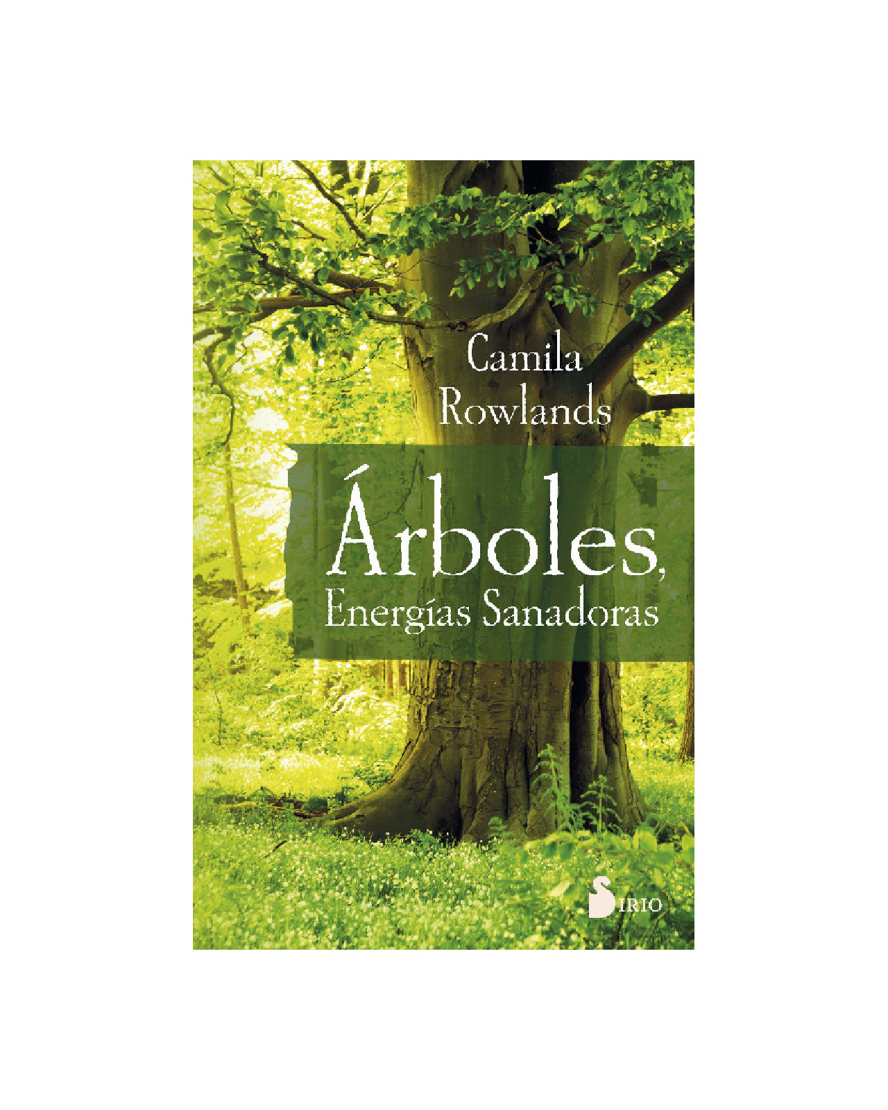 Foto 1 | Arboles, Energias Sanadoras