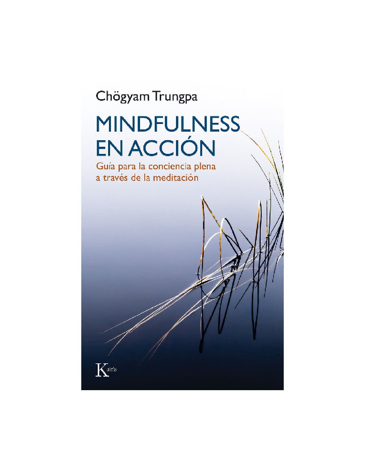 Mindfulness En Acción