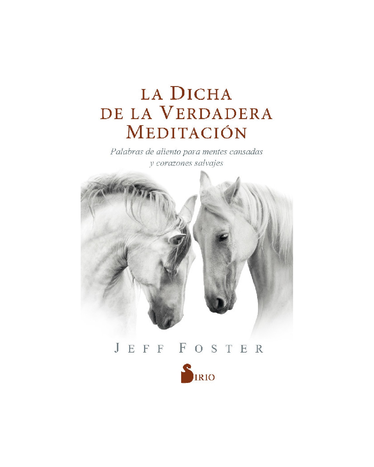 La Dicha De La Verdadera Meditación $590