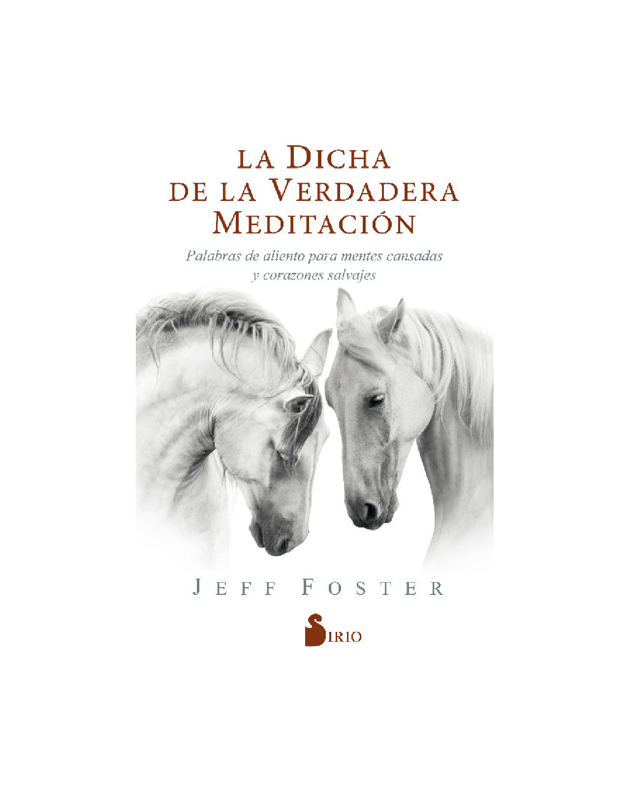 La Dicha De La Verdadera Meditación
