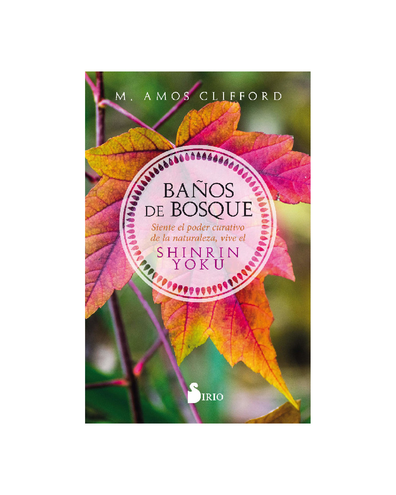 Baños De Bosque
