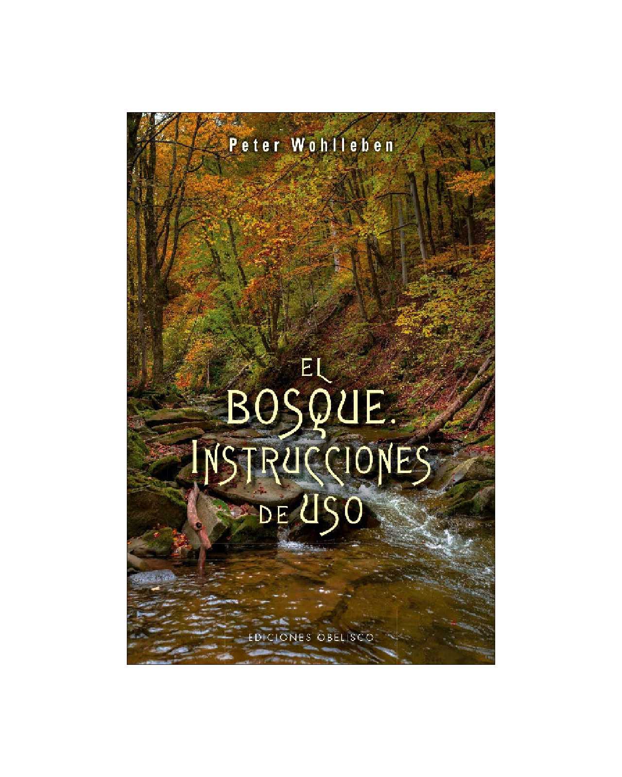 Foto 1 | El Bosque