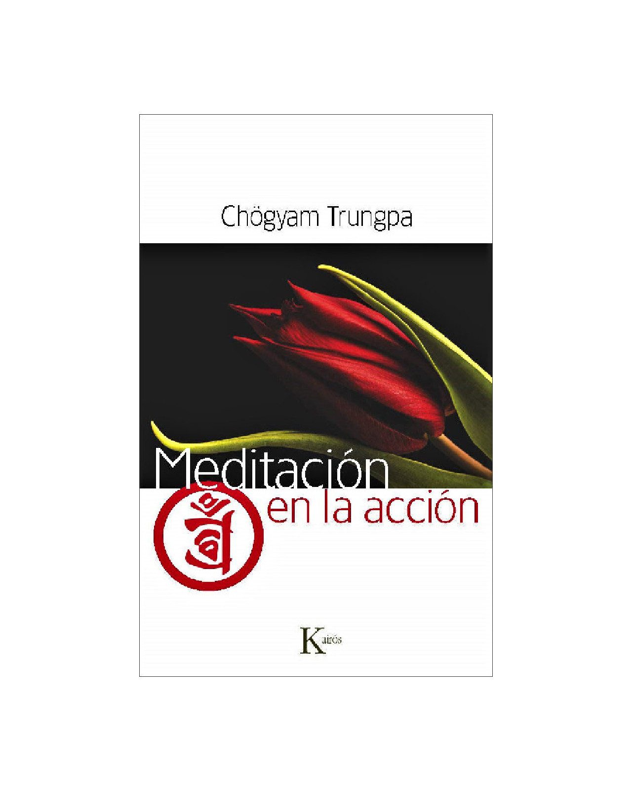 Meditación En La Acción