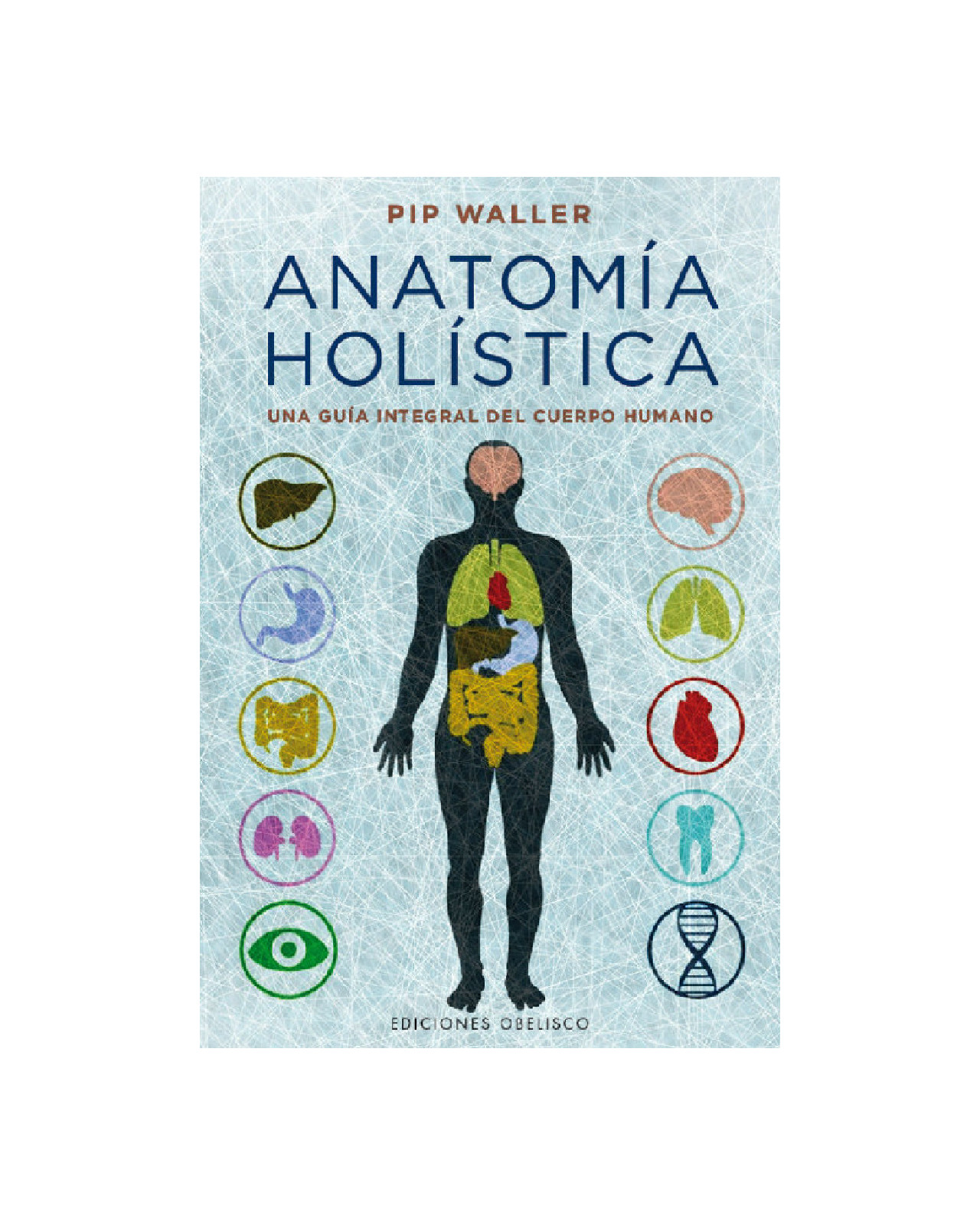 Anatomía Holística