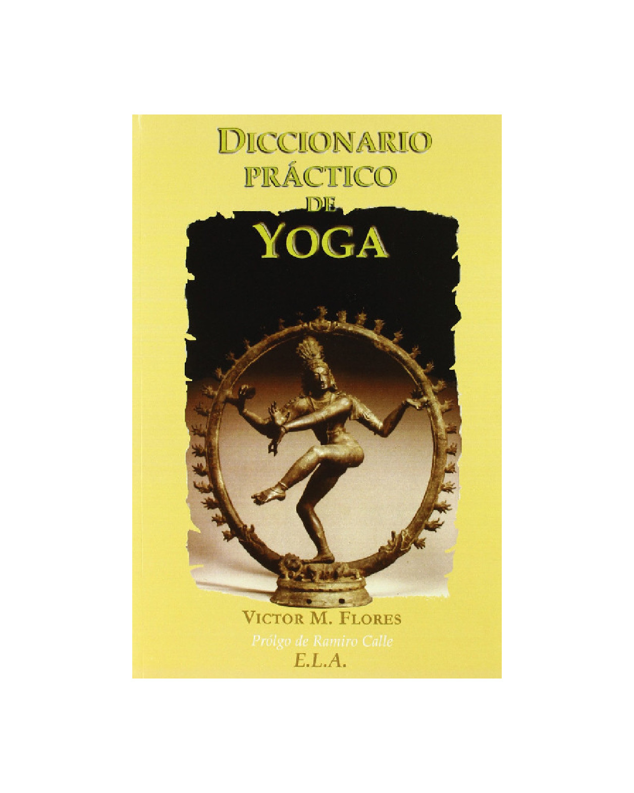 Libro Diccionario Practico de Yoga Cadabra y Books