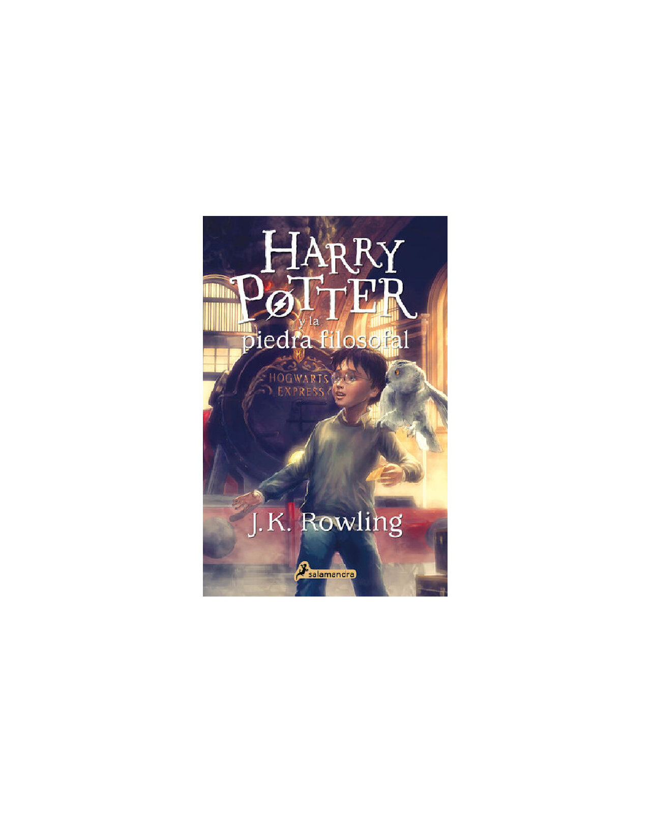 Foto 1 | Harry Potter Y La Piedra Filosofal