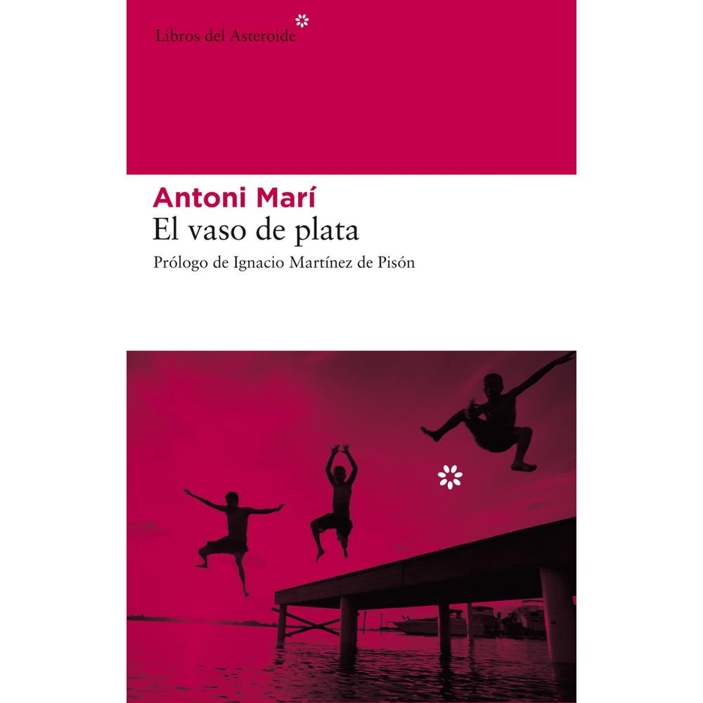 Libro el Vaso de Plata