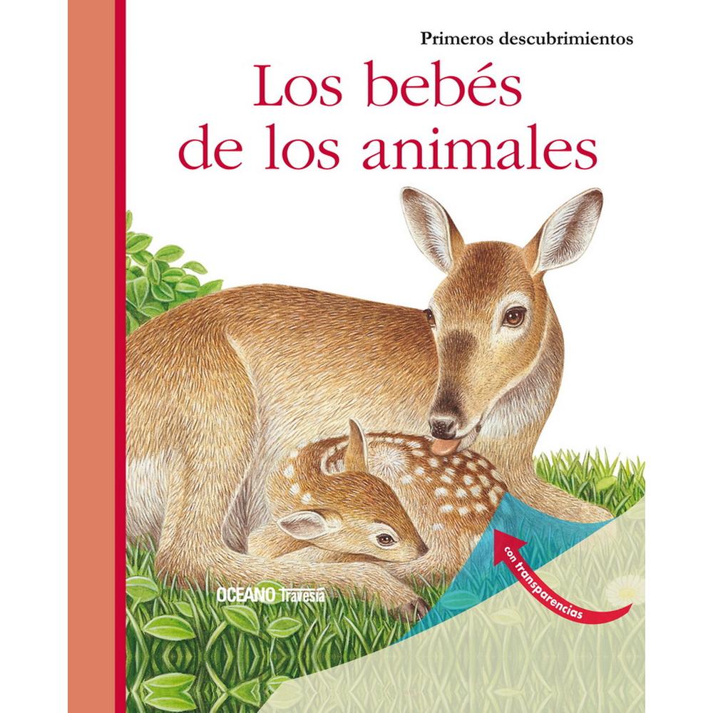 Bebés De Los Animales, Los