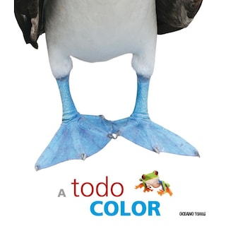 Foto 1 | Libro A Todo Color