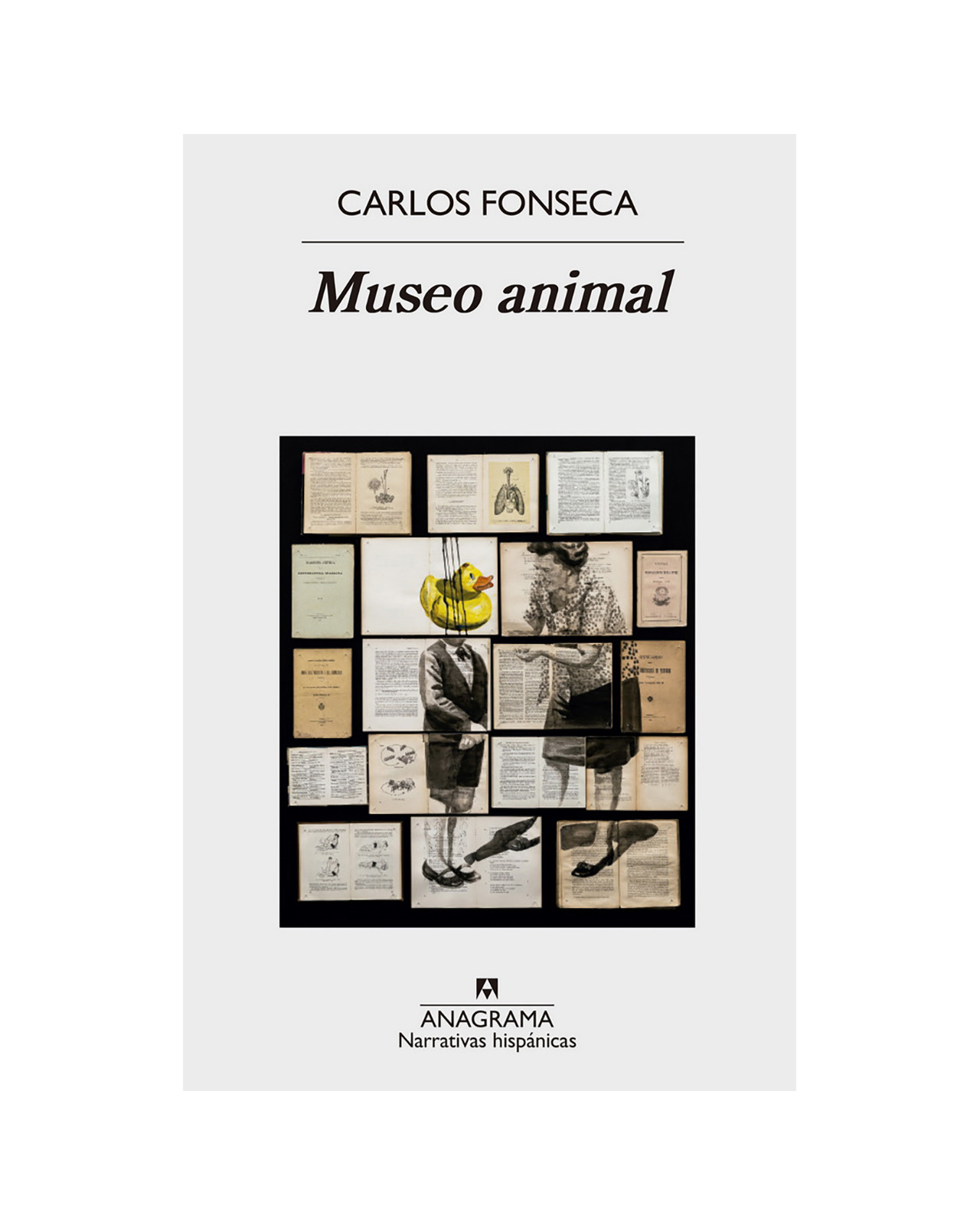 Museo Animal