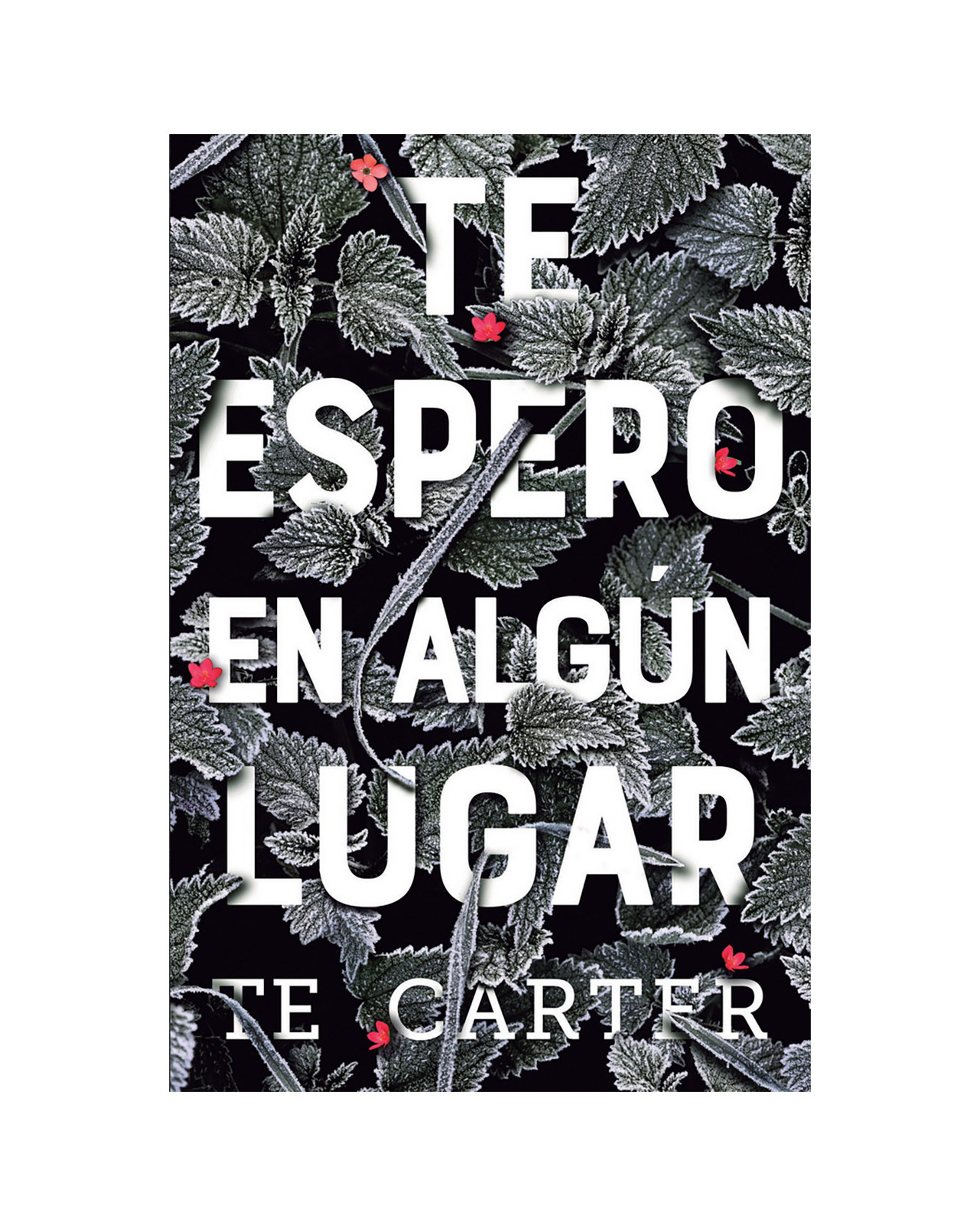 Te Espero En Algún Lugar