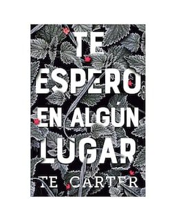 Foto 1 | Te Espero En Algún Lugar